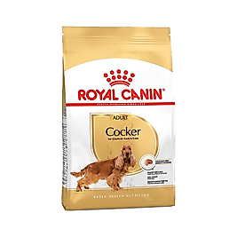 Royal Canin Cocker Yetişkin Köpek Maması (3 kg)