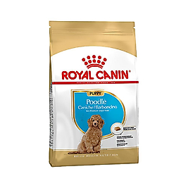Royal Canin Poodle Yavru Köpek Maması (3 kg)