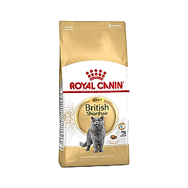 Royal Canin British Shorthair Yetişkin Kedi Maması (2 kg)
