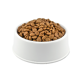 Royal Canin Sensible Hassas Sindirim Sistemi Açık Yetişkin Kedi Maması 500 gr