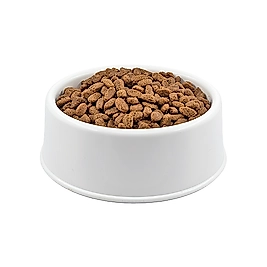 Royal Canin Açık Kısırlaştırılmış Kedi Maması 1 Kg