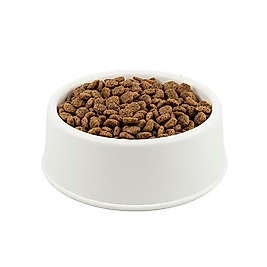 Brit Care Sensitive Hipoalerjenik Böcek Proteinli ve Ringa Balıklı Açık Yetişkin Kedi Maması 1 Kg