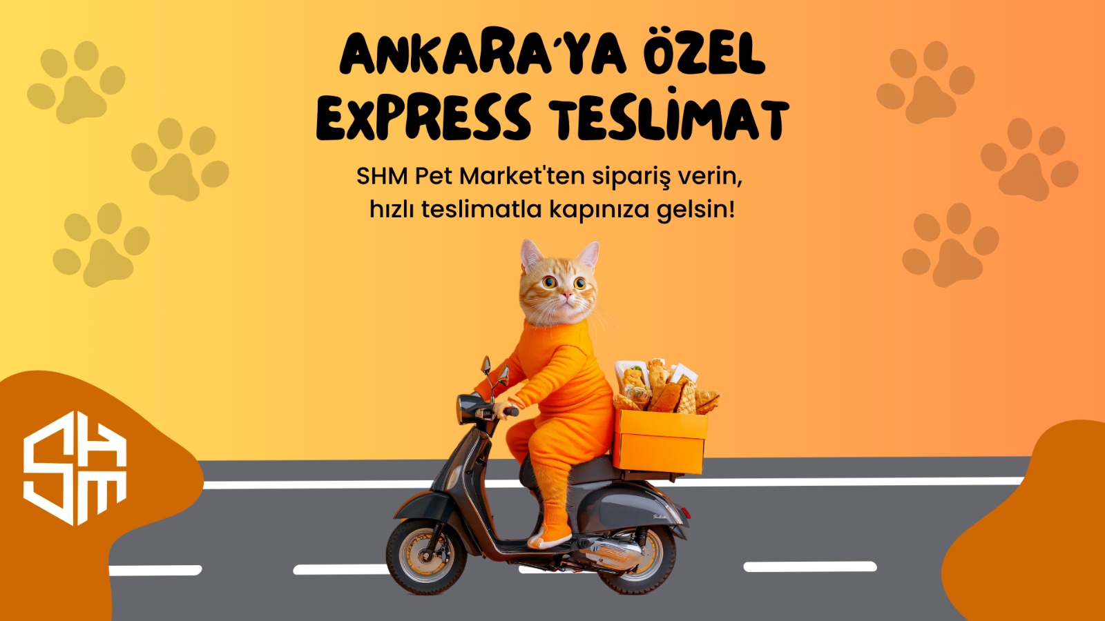 Ankara'da En İyi Kedi Mamaları: Sağlıklı Seçenekler ve Fiyatlar