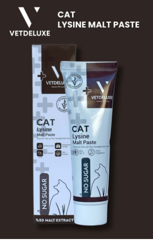 VETDELUXE Lizin malt paste 100 gr