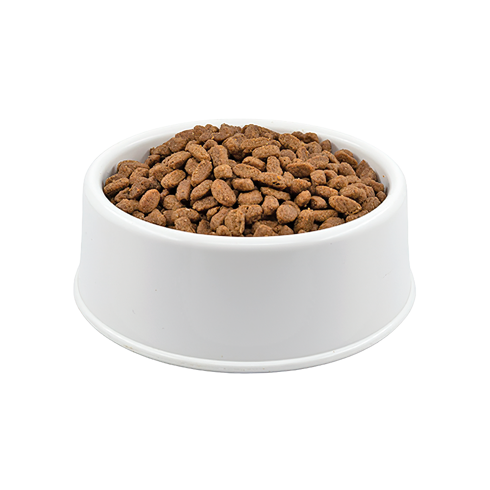 Homie Super Premium Somon Etli Açık Yetişkin Kedi Maması 500 GR