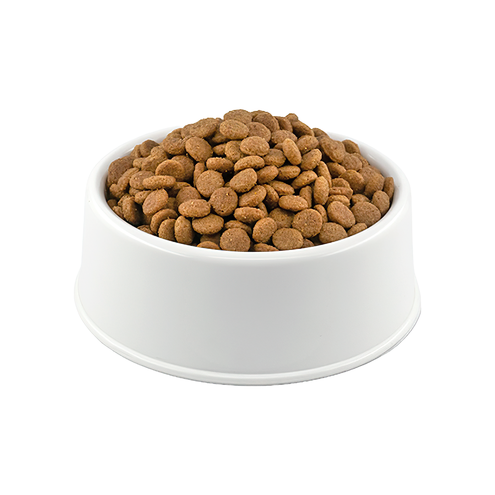 Royal Canin British Shorthair Açık Yetişkin Kedi Maması 1 kg