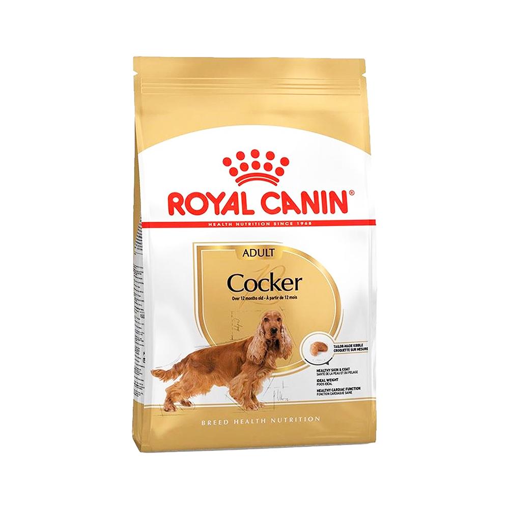 Royal Canin Cocker Yetişkin Köpek Maması (3 kg)