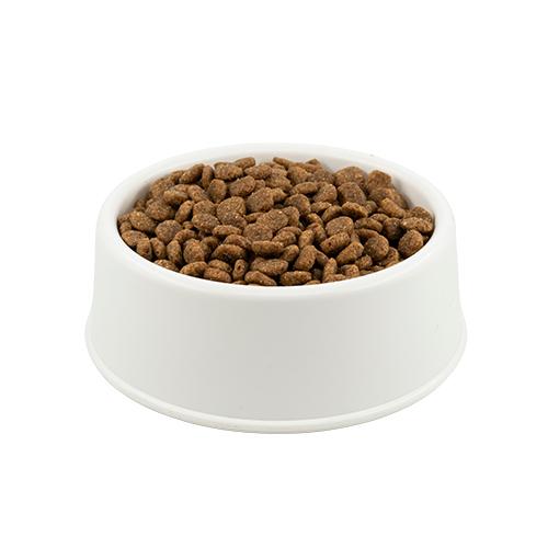 Brit Care Sensitive Hipoalerjenik Böcek Proteinli ve Ringa Balıklı Açık Yetişkin Kedi Maması 1 Kg