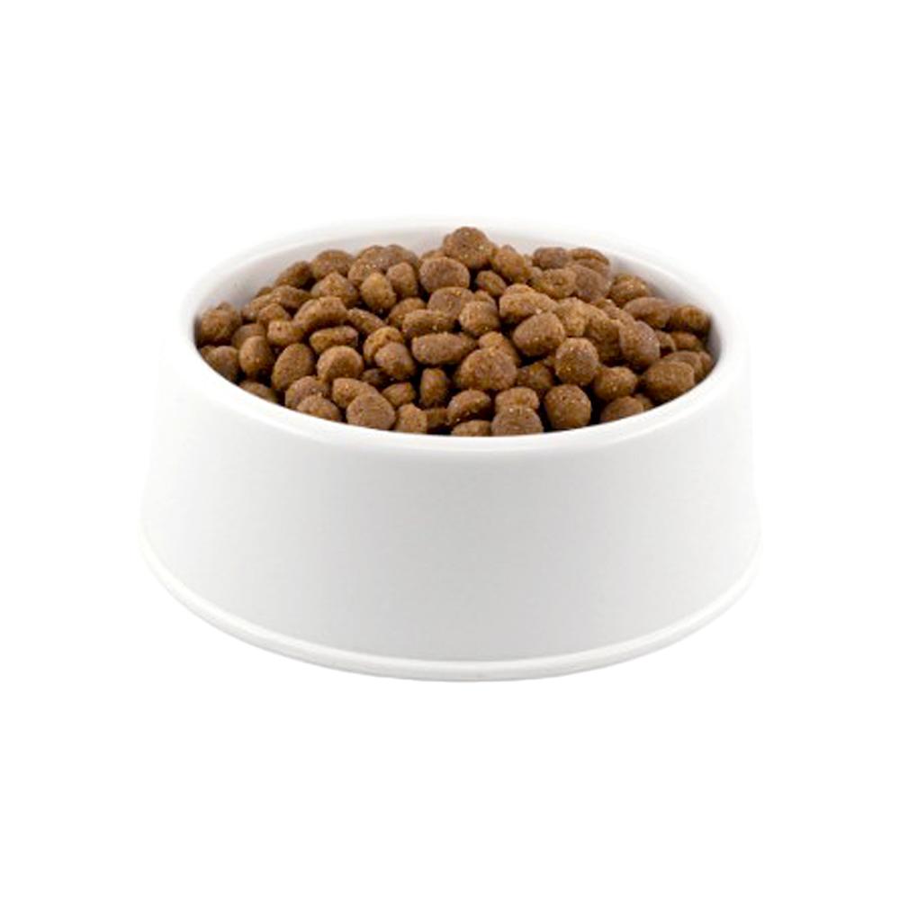 Hill's Science Plan Kuzu Etli Küçük Irk Açık Yetişkin Köpek Maması 1 KG